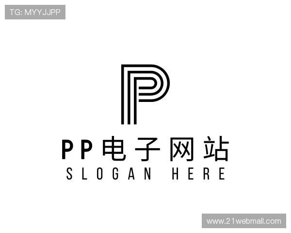 关于pp电子网站